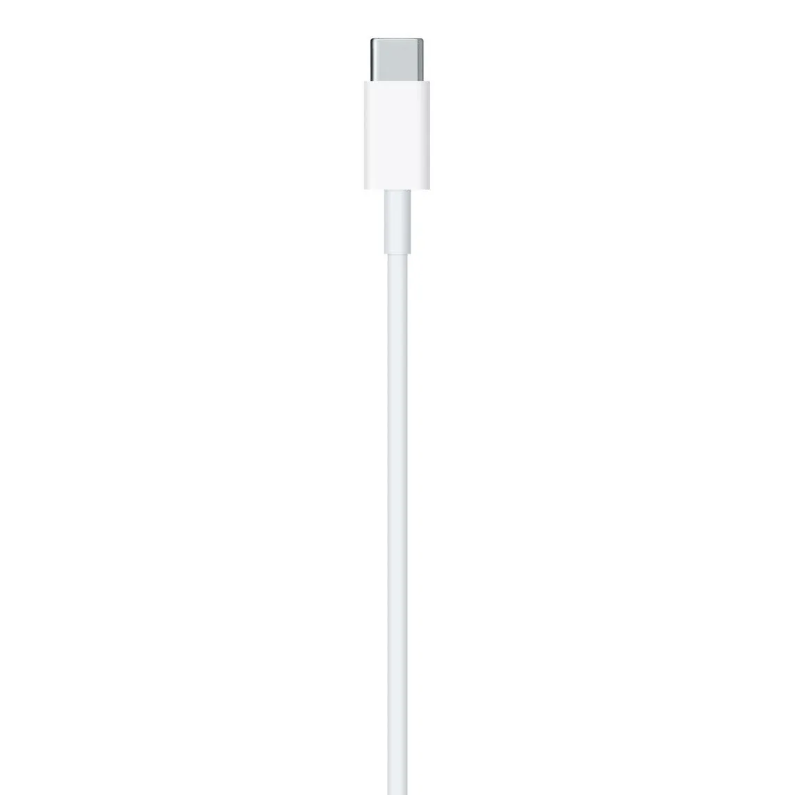 Apple iPod nano (7th generation) USB-C to Lightning Thunderbolt 3 Charge and Data Sync Cable 1M White