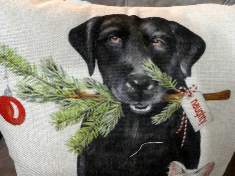 Christmas Pillow covers, Christmas decorations, dog pillow covers, cat pillow covers