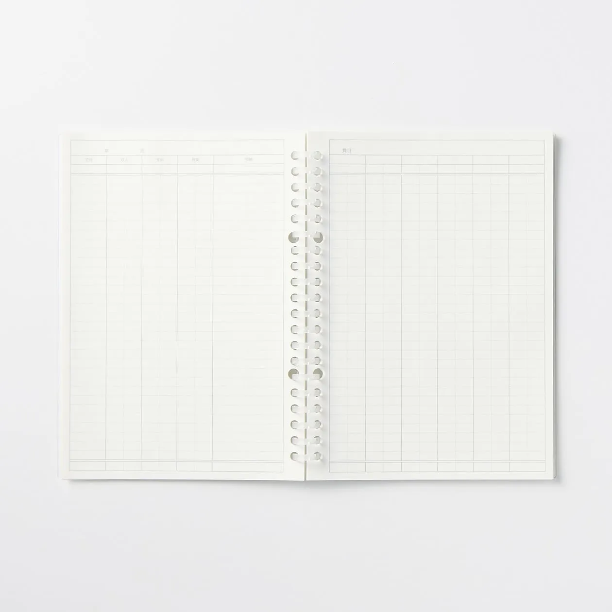 Loose Leaf Refill - A5 Budget Book