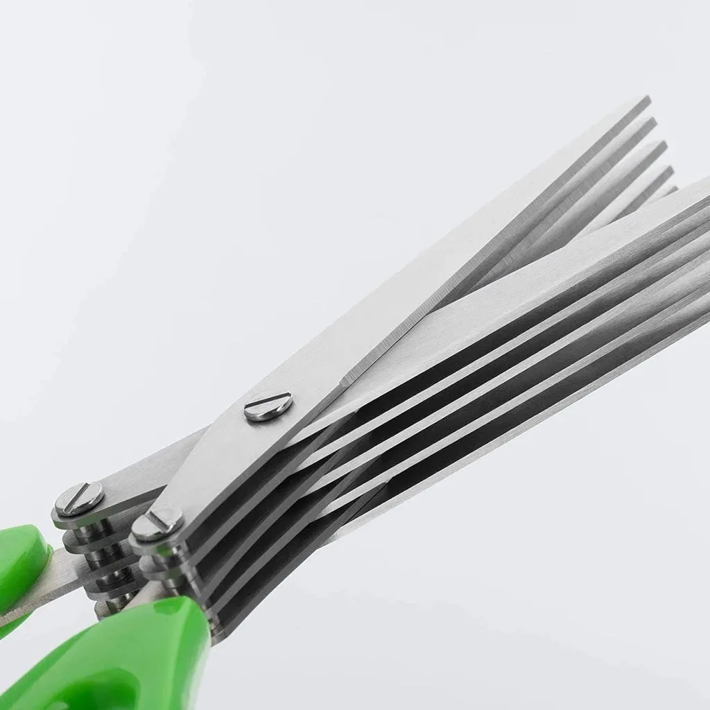 Multifunction Vegetable Stainless Steel Herbs Scissor with 5 Blades - H01320