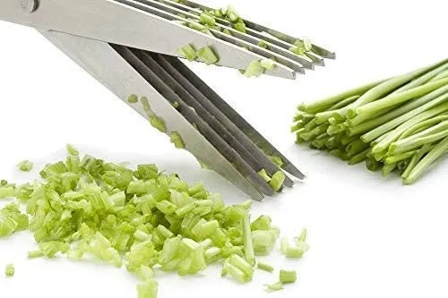 Multifunction Vegetable Stainless Steel Herbs Scissor with 5 Blades - H01320