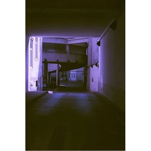 REVOLOG 460nm 200 Color Negative Film (35mm Roll Film, 36 Exposures)