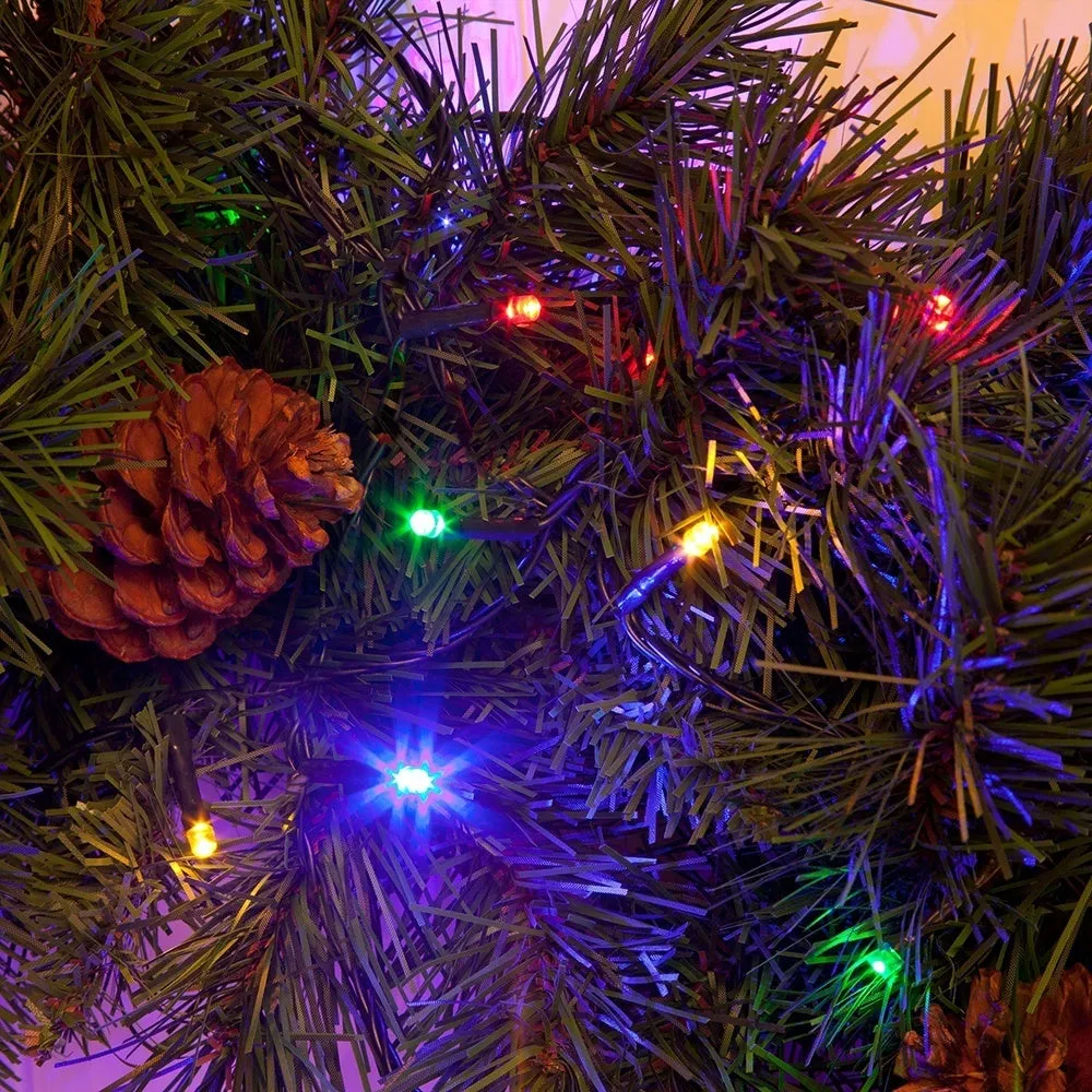 Snowtime 100 LED Connectable Lights