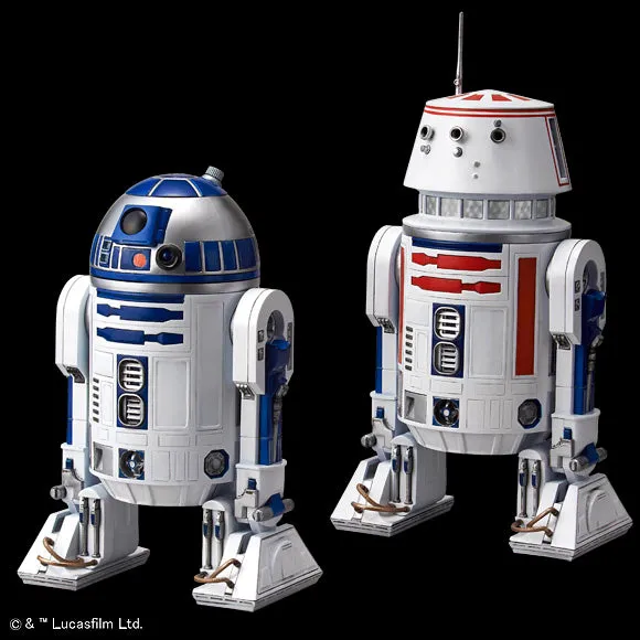 SW - R2-D2 & R5-D4 1/12